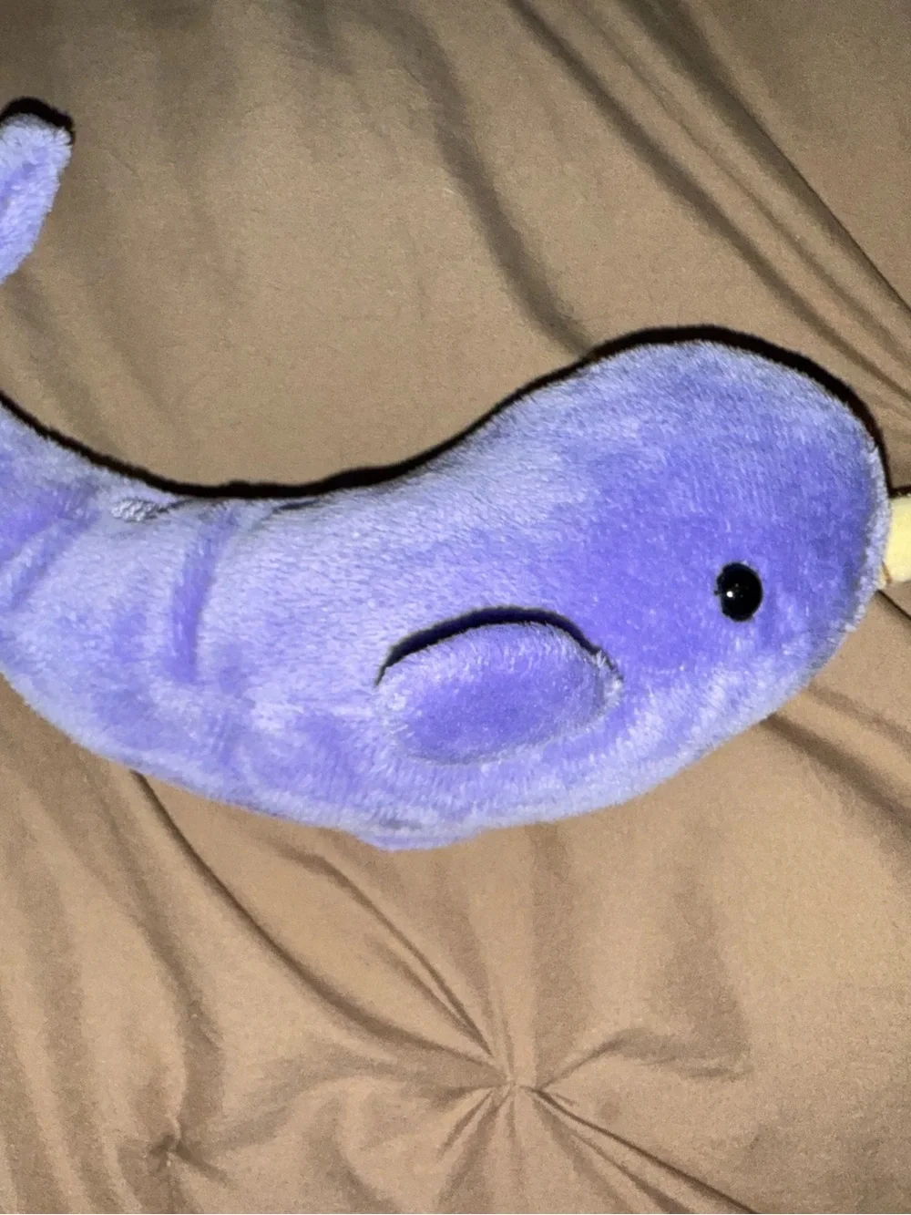 Douglas narwhal purple